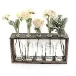 Funsoba Rustic Vintage Hydroponic Flower Vases Set in Wooden Rack 5 Bottles Home