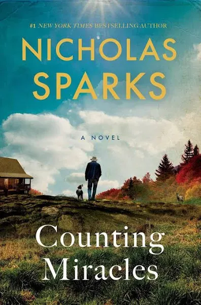 Counting Miracles: A Novel [Book]