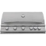 Blaze Premium LTE+ 40 inch 5-Burner Gas Built in Grill with Rear Infrared Burner, Natural Gas