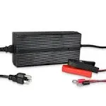 Renogy 24V 10A AC-to-DC LFP Portable Battery Charger Plug-and-Play with 14AWG Alligator Clips for Lithium-Iron Phosphate Batteries, Suitable for RVs, Motorbikes, Boats, and Camper-Van