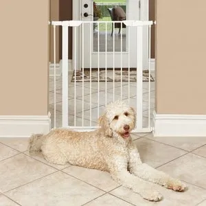 Midwest Steel Pet Gate Graphite 39-In.